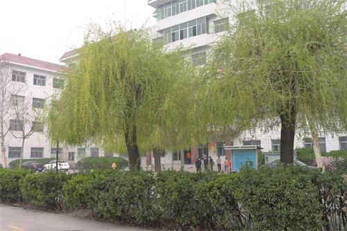 學(xué)習(xí)高鐵乘務(wù)專業(yè)怎么樣？   