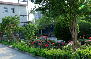 邯鄲理工學(xué)校怎么樣？學(xué)校都有什么專(zhuān)業(yè)？