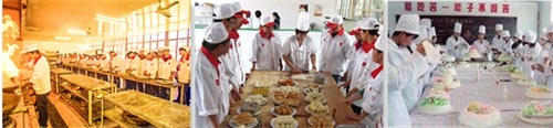 廚師需要學(xué)習(xí)烹飪多少道菜？