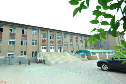 滄州國興職業(yè)技術(shù)學(xué)校哪些專業(yè)比較不錯？