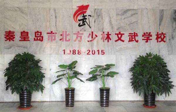 秦皇島北方少林文武學(xué)校就業(yè)如何？這答案你放心！