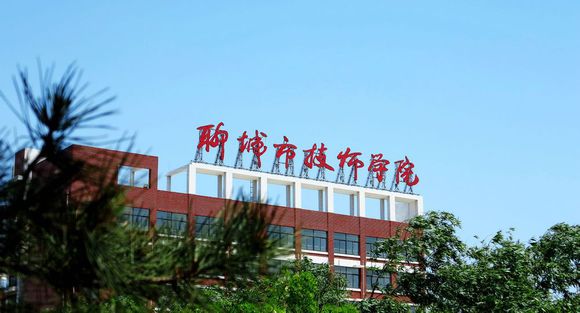 聊城市技師學(xué)院有計算機(jī)專業(yè)嗎？