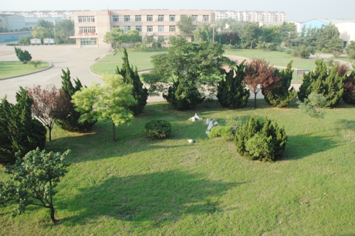 山東龍口礦業(yè)集團(tuán)高級(jí)技工學(xué)校老師們教學(xué)怎么樣？升學(xué)率高嗎？