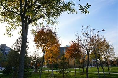 陽光傳媒教育學(xué)校播音與主持藝術(shù)專業(yè)好不好？就業(yè)情況如何？