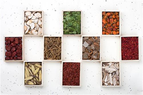 山東醫(yī)藥技師學院中藥系專業(yè)有哪些？