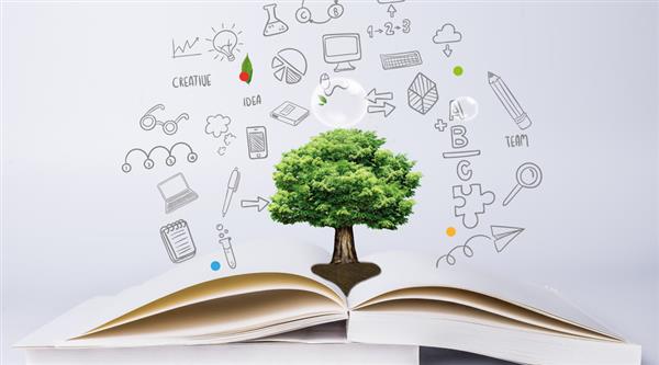 濱州市技術(shù)學(xué)院怎么樣？好不好？