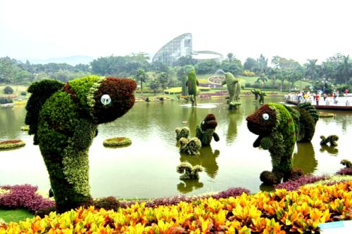 園林也是門藝術(shù)！張家口宣化科技職業(yè)學(xué)院園藝藝術(shù)專業(yè)介紹