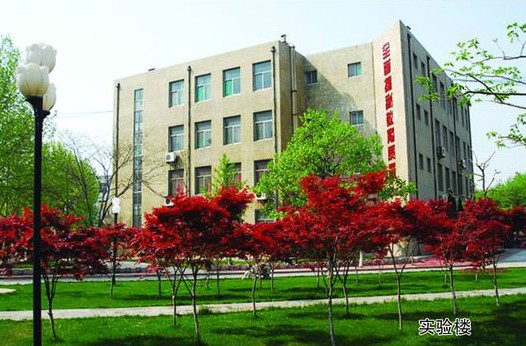 淄博市工業(yè)學(xué)校開設(shè)哪些計算機課程？