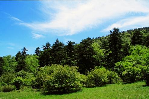 邢臺(tái)沙河市綜合職教中心現(xiàn)代林業(yè)技術(shù)怎么樣？