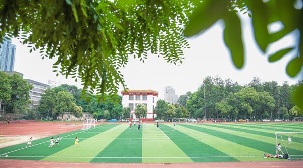為什么選擇青島滿天星職業(yè)培訓學校？