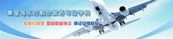 河北哪所學(xué)校開設(shè)了航空服務(wù)專業(yè)？