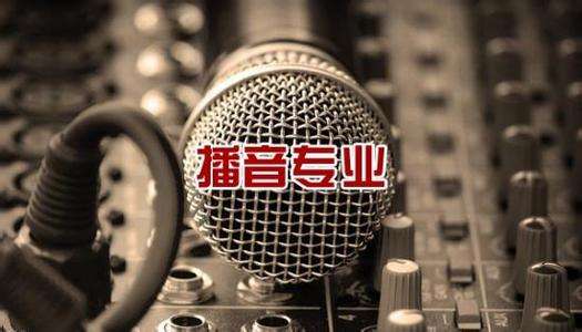 北京吉利學(xué)院華視傳媒學(xué)院有藝術(shù)相關(guān)專業(yè)嗎？