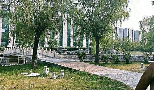 保定平安技工學(xué)校動(dòng)漫設(shè)計(jì)專(zhuān)業(yè)上什么課程？   