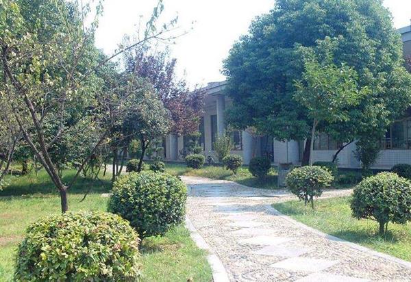 山東圣翰財貿(mào)職業(yè)學(xué)院都有哪些專業(yè)可以選擇？