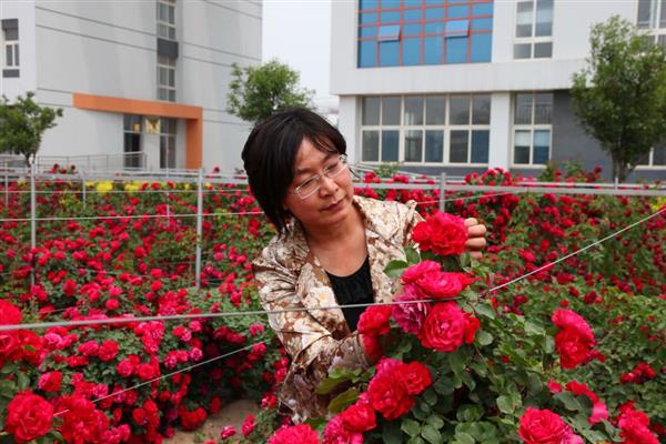 濰坊科技學院環(huán)境好嗎？