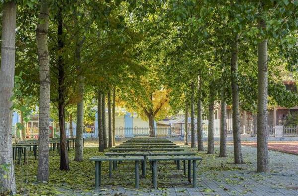 山東廣播電視大學(xué)成教學(xué)院航空分院都招什么樣的學(xué)生？