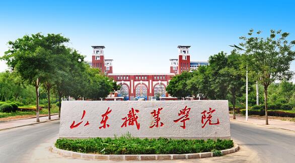 山東職業(yè)學(xué)院有哪些教學(xué)成果？