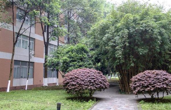 德州華夏美容美發(fā)學(xué)校怎么樣？