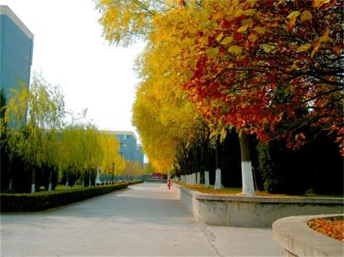 北京現(xiàn)代體育學院、航空乘務(wù)學院設(shè)施好嗎？