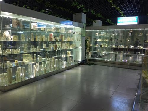 山東學臨床去哪里？歡迎選擇山東人民專修學院！