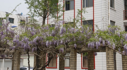 山東學鐵路就選擇山東煤炭技師學院！