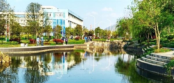 山東哪所學(xué)校有口腔醫(yī)學(xué)專業(yè)？