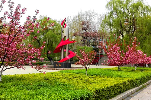 選擇齊魯技術學院學幼師怎么樣？