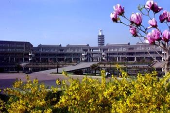 邯鄲有計算機學校嗎？   