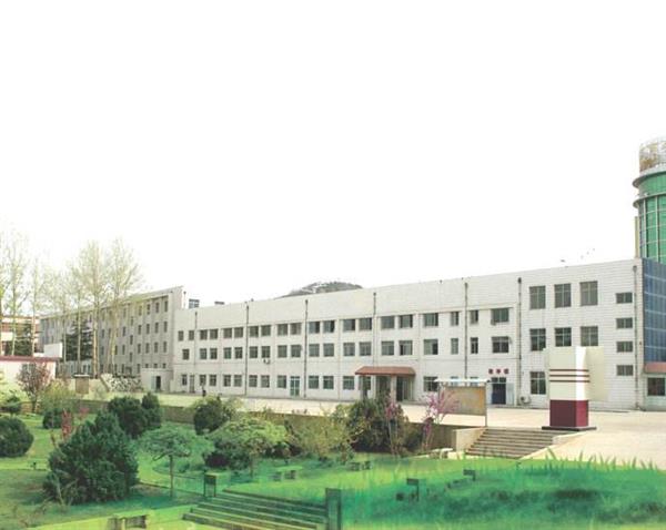 山東哪所學(xué)校能報(bào)考春季高考？