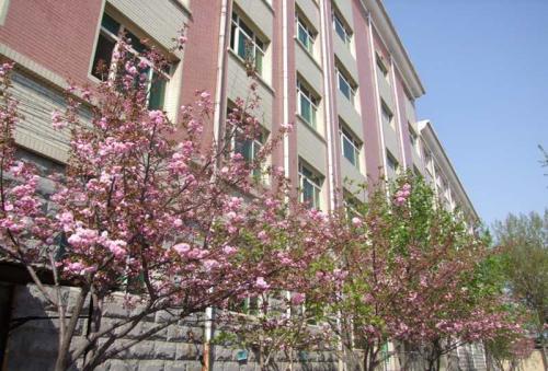 保定學(xué)汽修選擇保定新興工業(yè)技工學(xué)校怎么樣？