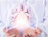 專業(yè)風(fēng)采