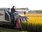 專(zhuān)業(yè)特色