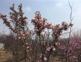 人民專(zhuān)修