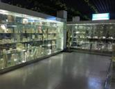 人民專(zhuān)修